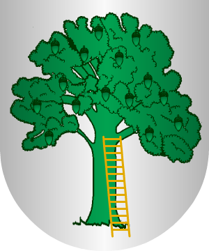 ESCUDO SIGUIENTE